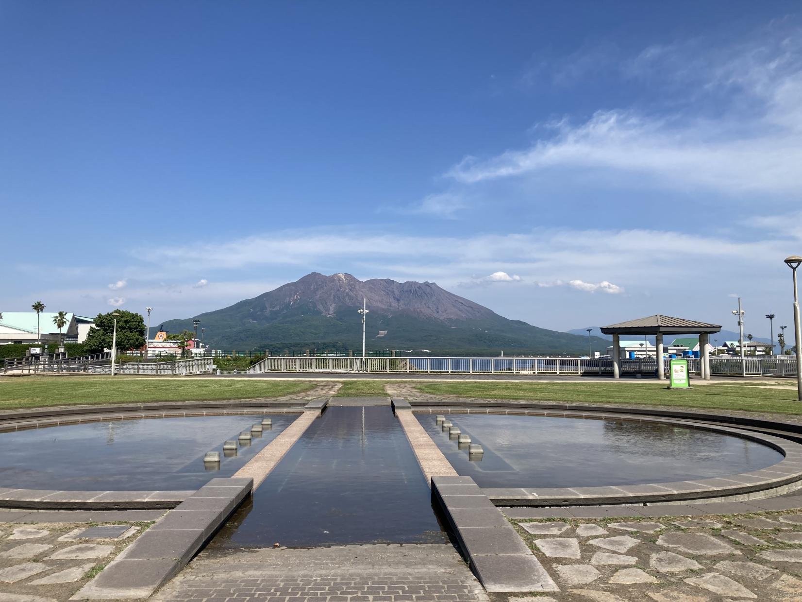 🏞️ 워터프런트 파크 이미지 4